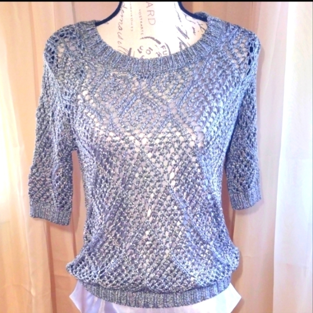 Will Smith Gray/Silver Metallic Sweater & Matching Camisole
